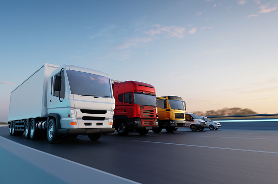 고정 차량 운송